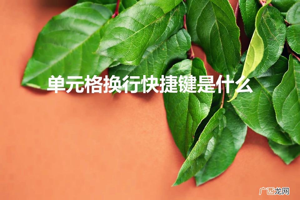 Excel换行的快捷键是什么 单元格换行快捷键是什么