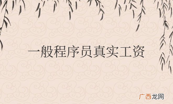 一般程序员真实工资多少钱一个月