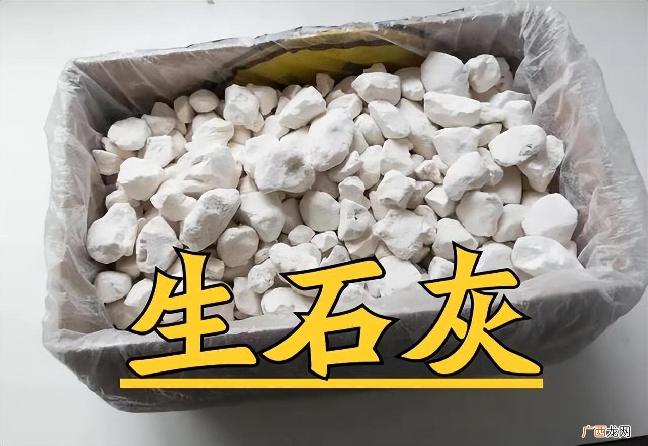 属于什么物质类别 氧化钙的俗称