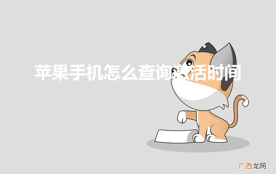 iphone激活时间怎么查询 苹果手机怎么查询激活时间
