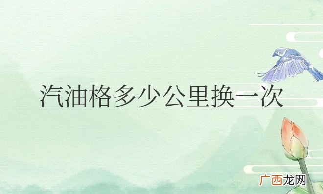 车辆汽油格多少公里换一次