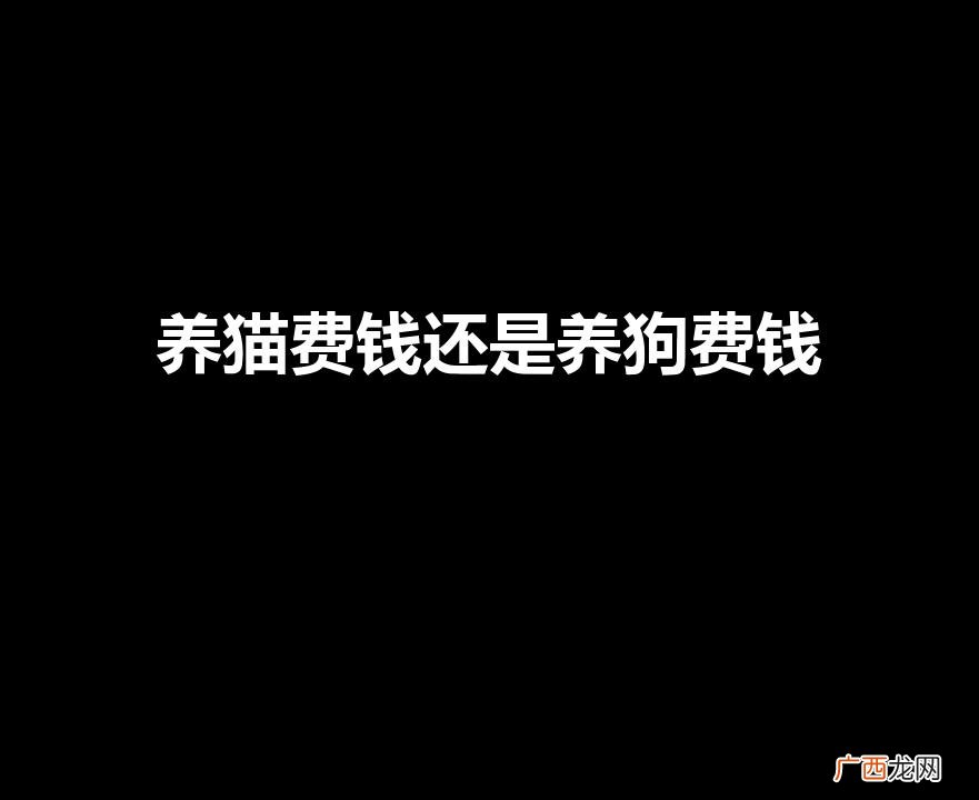 养宠物谁贵? 养猫费钱还是养狗费钱