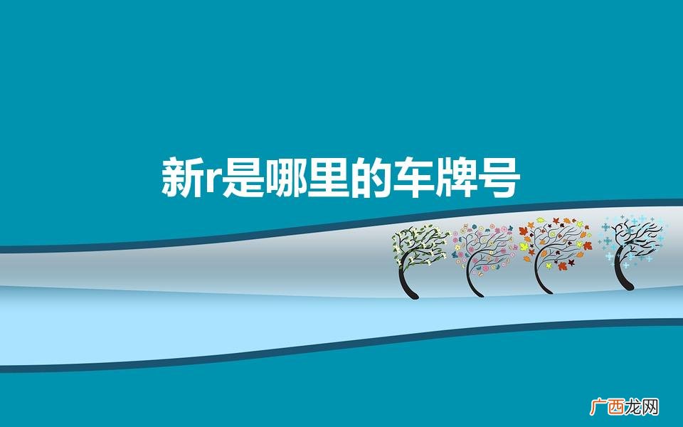 新r车牌号来自何处 新r是哪里的车牌号