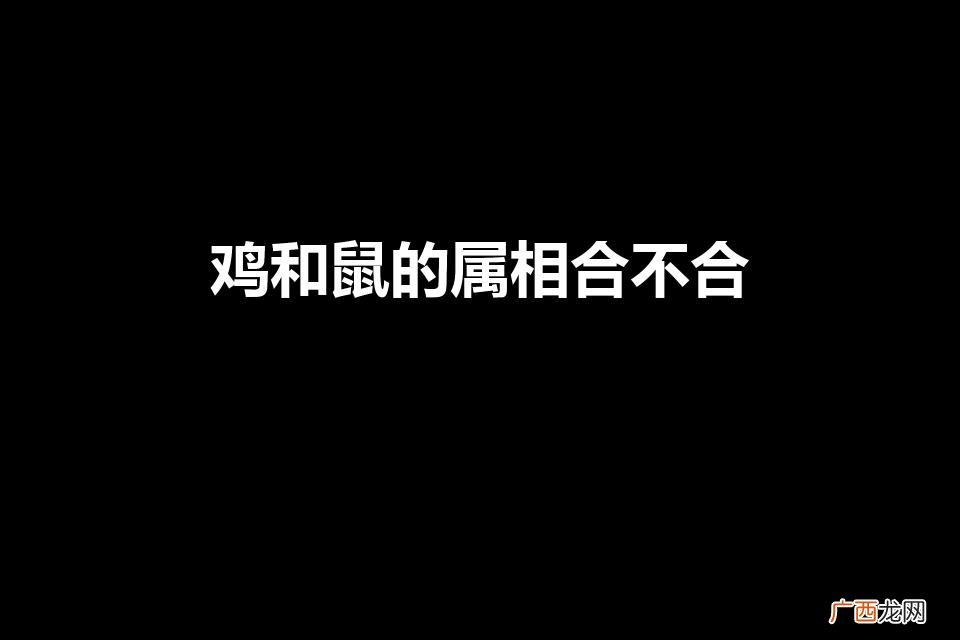 鸡和鼠的属相合不合