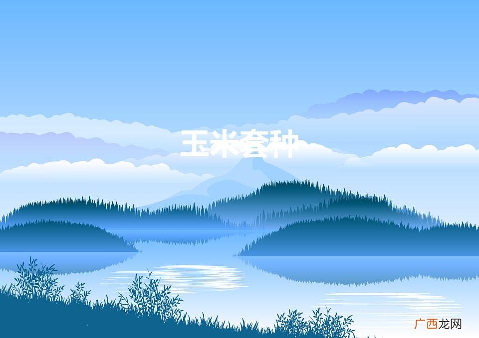 玉米互生，丰收之路 玉米套种