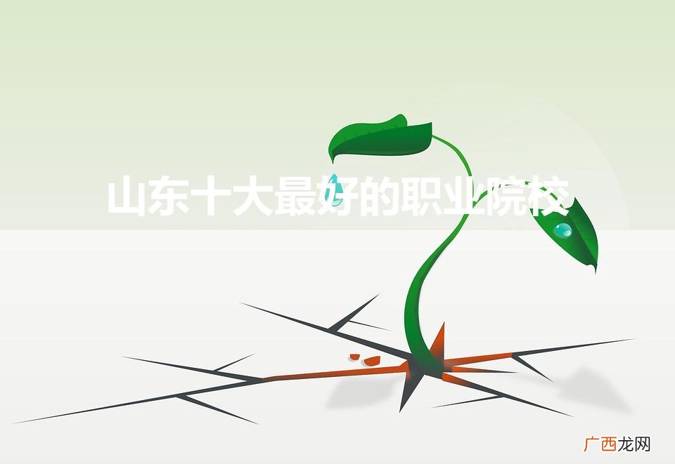 山东十大最好的专科学校 山东十大最好的职业院校