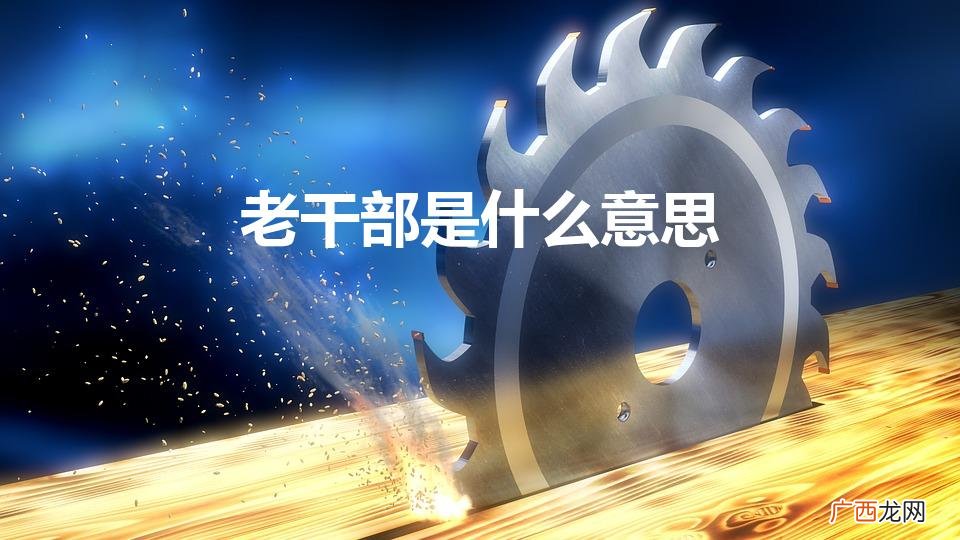 :老干部是什么意思希望用自己的话说 老干部是什么意思