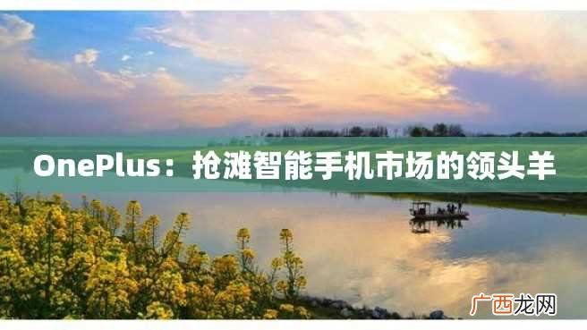 OnePlus:抢滩智能手机市场的领头羊