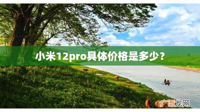小米12pro具体价格是多少？