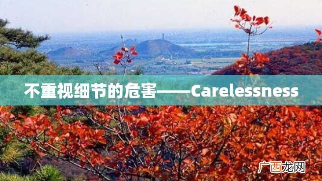 不重视细节的危害——Carelessness