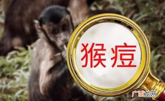 专家回应猴痘是否有传播扩散风险