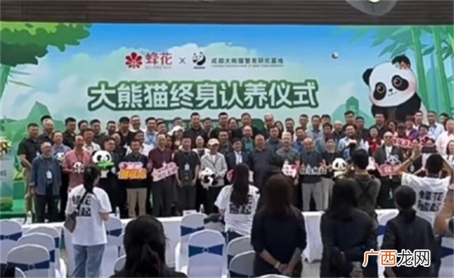 蜂花终身认养了一只大熊猫吗