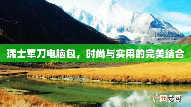 瑞士军刀电脑包，时尚与实用的完美结合