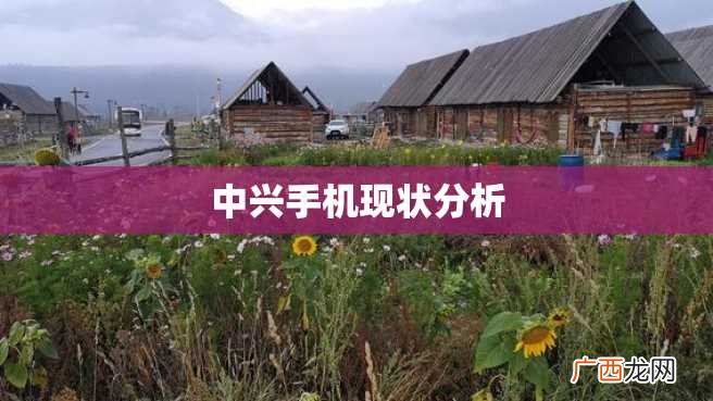 中兴手机现状分析