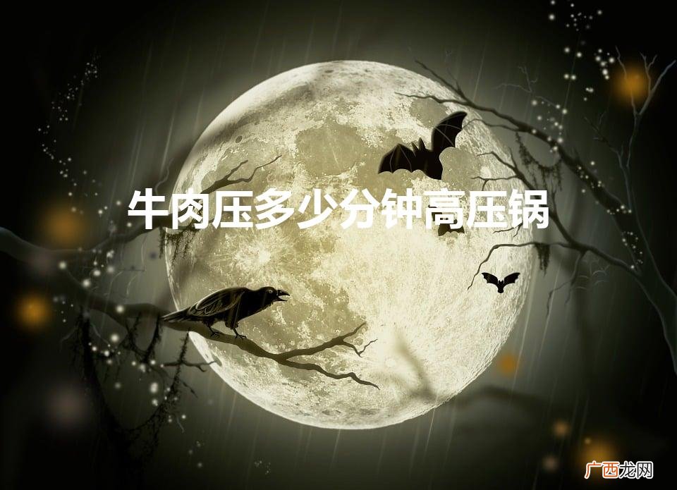 炖牛肉高压锅多少分钟 牛肉压多少分钟高压锅