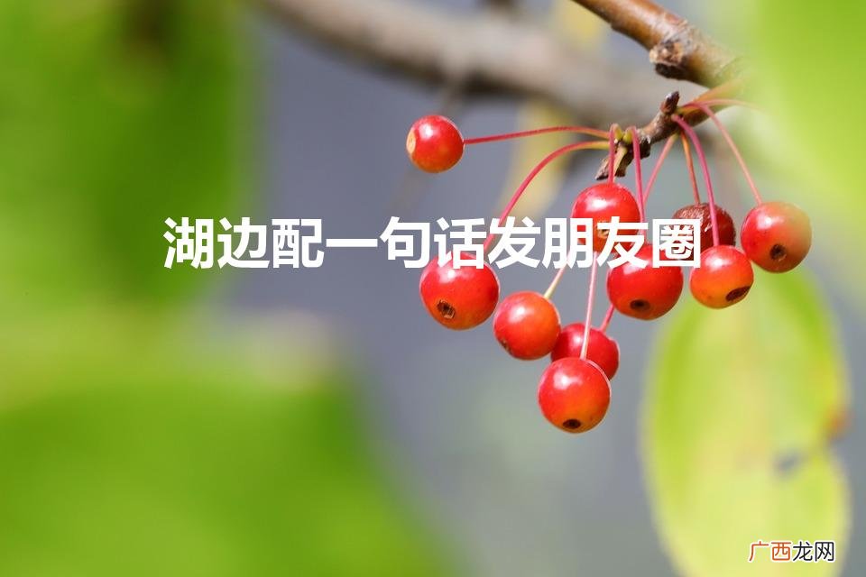 适合发湖边美景朋友圈的句子 湖边配一句话发朋友圈