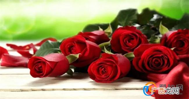 代表友谊的花束 闺蜜之间适合送什么花_酷知科普