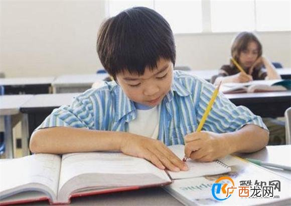 小学生从“班级垫底”到获得三好学生 只因养成了4个习惯