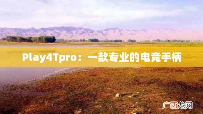 Play4Tpro:一款专业的电竞手柄