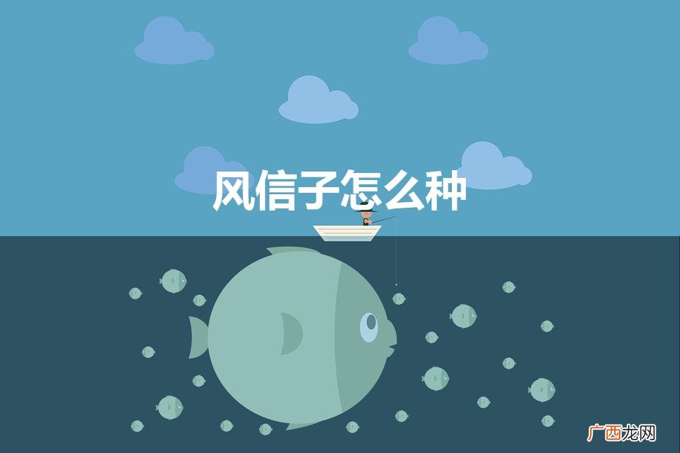 风信子的栽培方法 风信子怎么种
