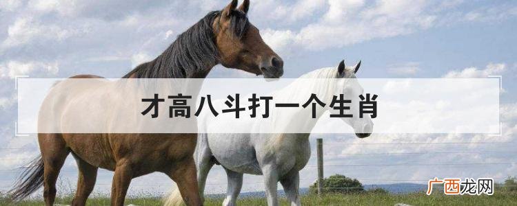 该生肖与命运详解 两面三刀打一个生肖