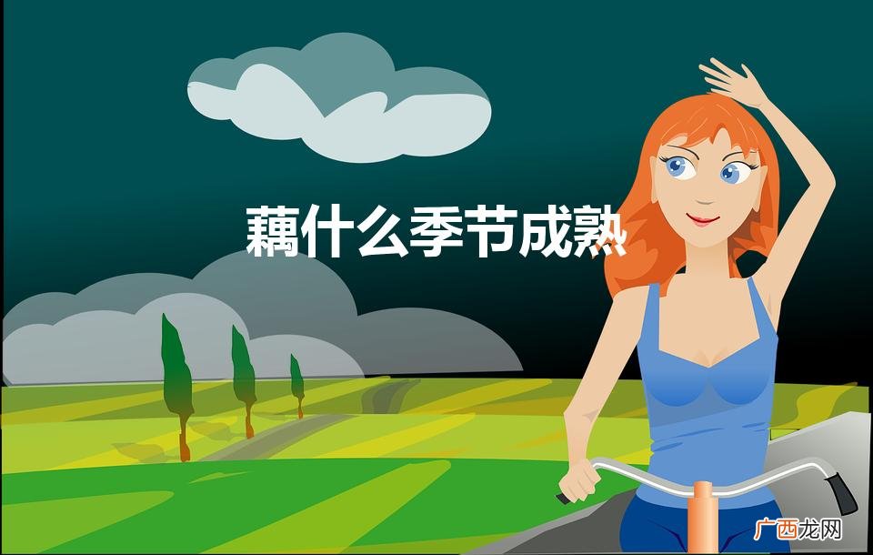 莲藕是什么季节的 藕什么季节成熟