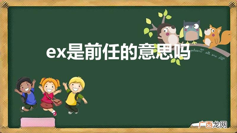 ex什么意思 ex是前任的意思吗