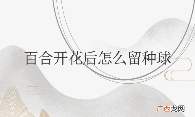 家养百合花开花后怎么处理 百合开花后怎么留种球