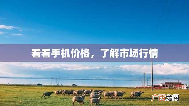 看看手机价格，了解市场行情