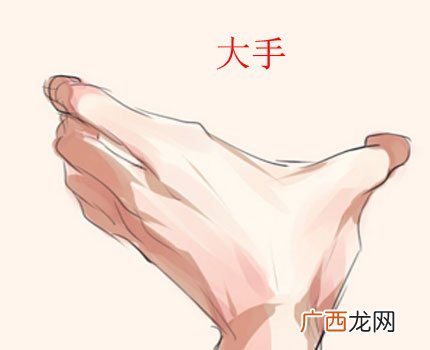 女人手掌大手相命运图解 女人手掌大好不好