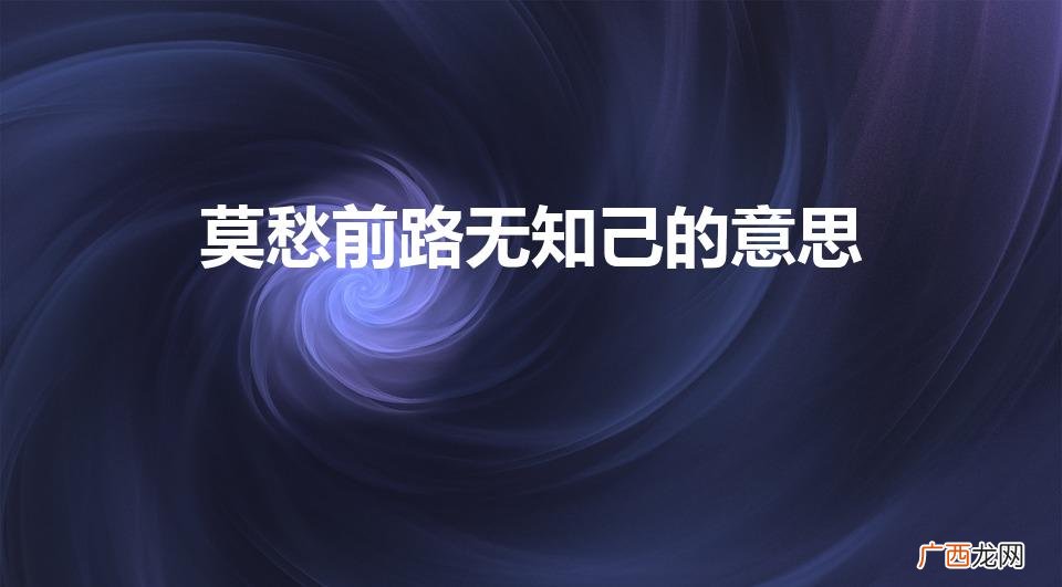 路上无知己 莫愁前路无知己的意思