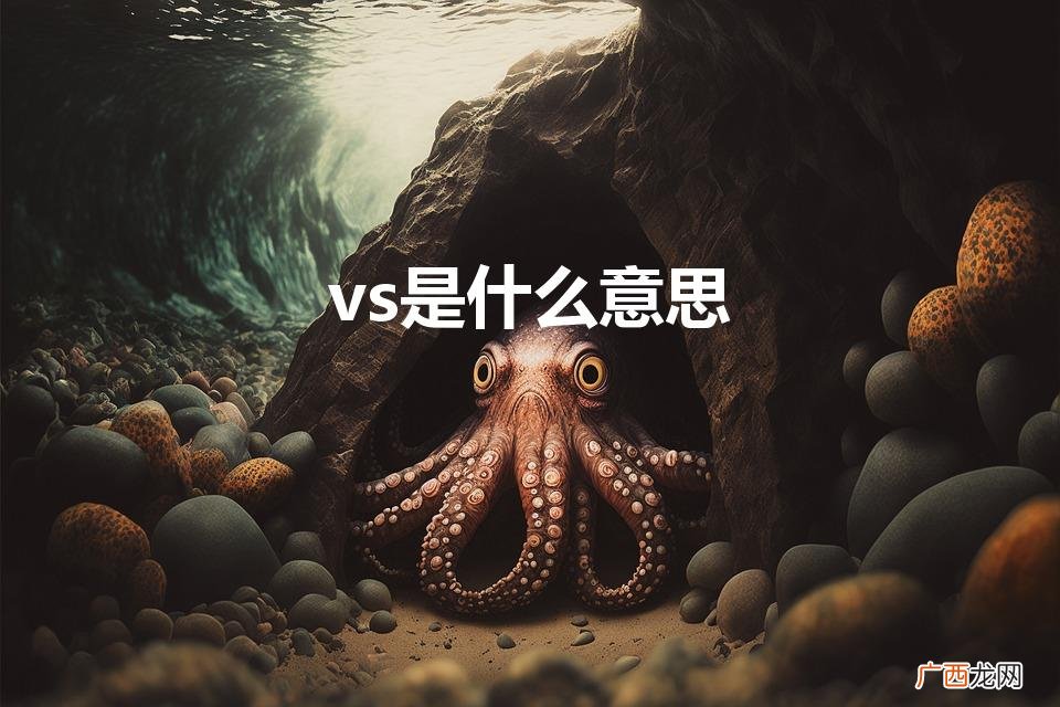 在中文里是什么意思 vs是什么意思