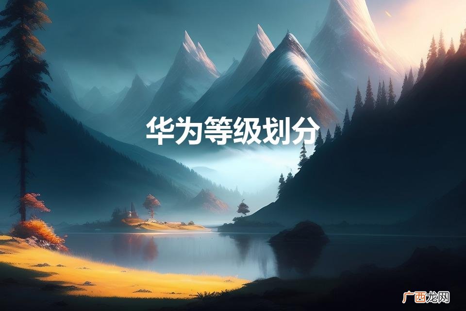 华为工程师等级划分 华为等级划分