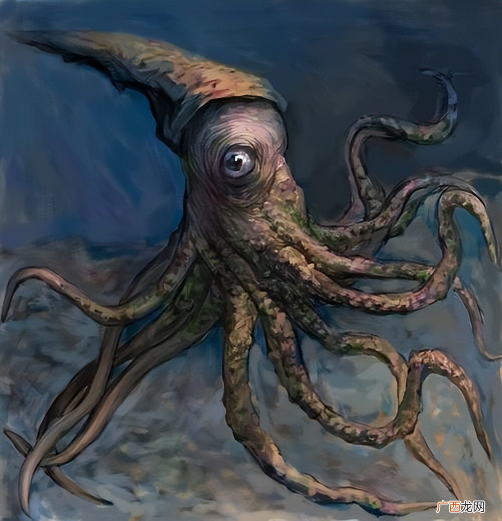 山海经吞噬进化 乌贼为什么是四维生物
