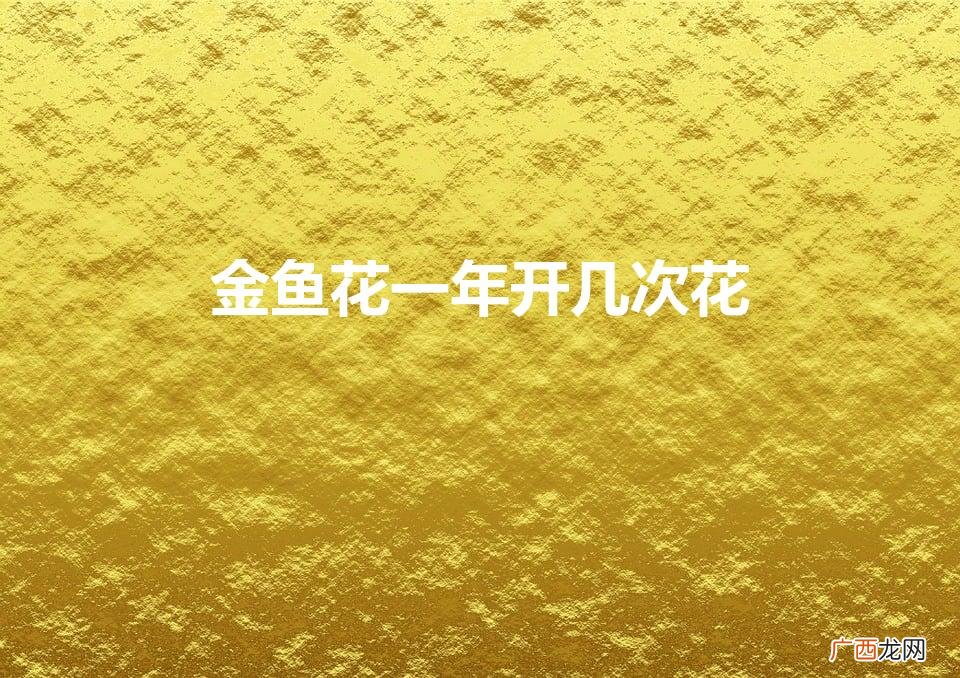金鱼花的养殖方法和注意事项 金鱼花一年开几次花