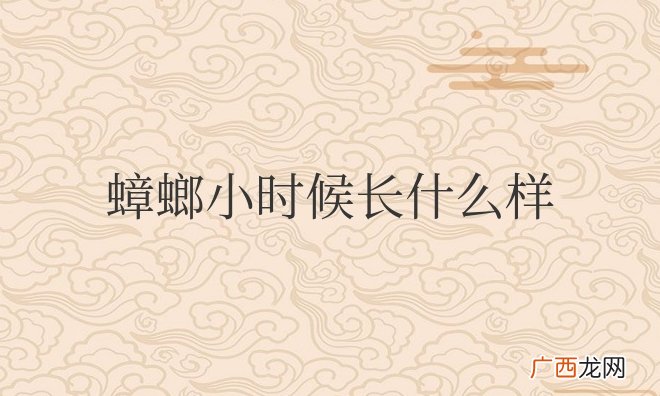 蟑螂小时候长什么样子？会飞吗？