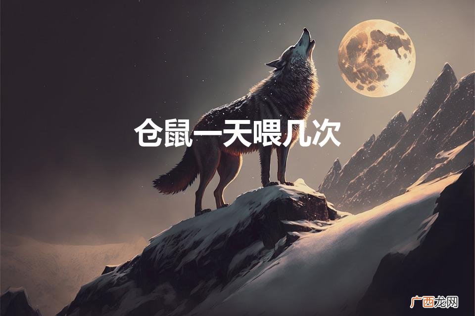 仓鼠一天吃多少东西啊 仓鼠一天喂几次