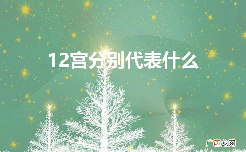 星盘上的1-12宫分别代表什么 12宫分别代表什么