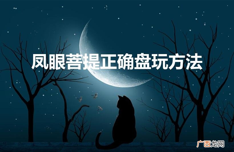 凤眼菩提如何正确盘玩 凤眼菩提正确盘玩方法