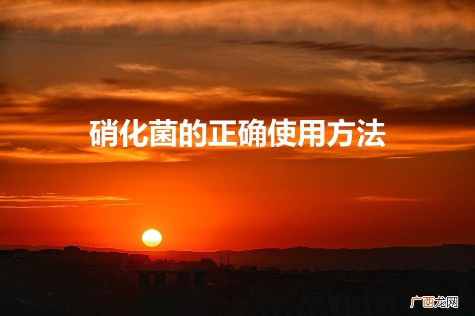 硝化菌的最佳使用方式 硝化菌的正确使用方法