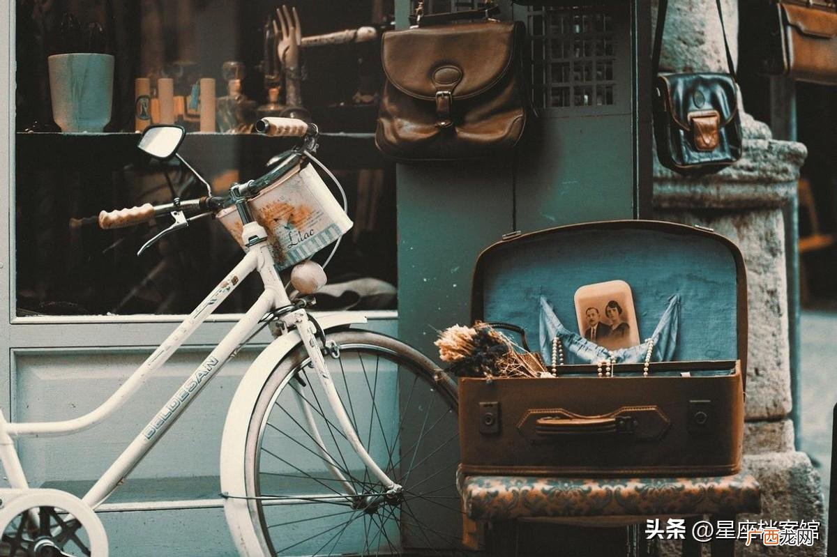 什么星座会保护狮子女一辈子 能陪伴狮子座一生的三大星座