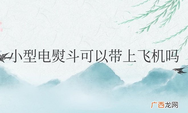 小型电熨斗可以带上飞机吗