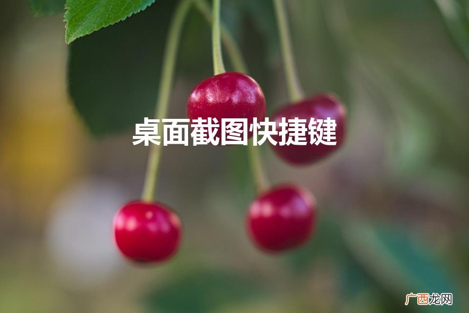 电脑屏幕截图的快捷键有哪些 桌面截图快捷键