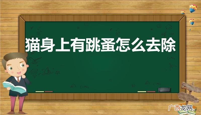 猫身上的跳蚤怎么去除 猫身上有跳蚤怎么去除