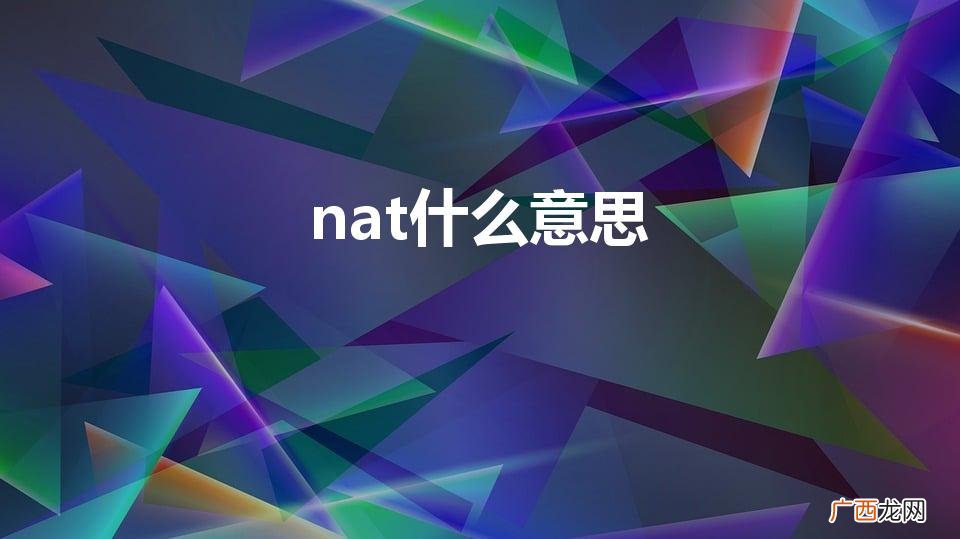 网络中NAT是什么意思 nat什么意思