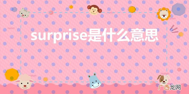 surprise的中文意思 surprise是什么意思