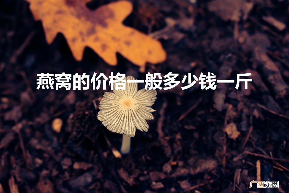 燕窝的价格 燕窝多少钱一克 燕窝的价格一般多少钱一斤