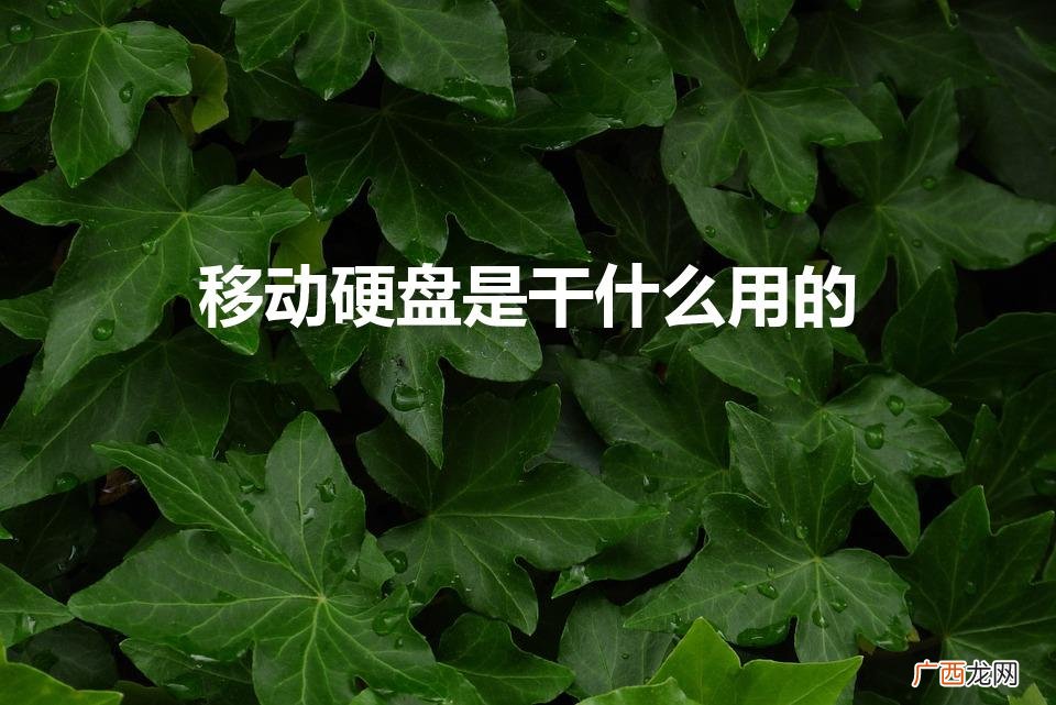 硬盘的功能是什么 移动硬盘是干什么用的