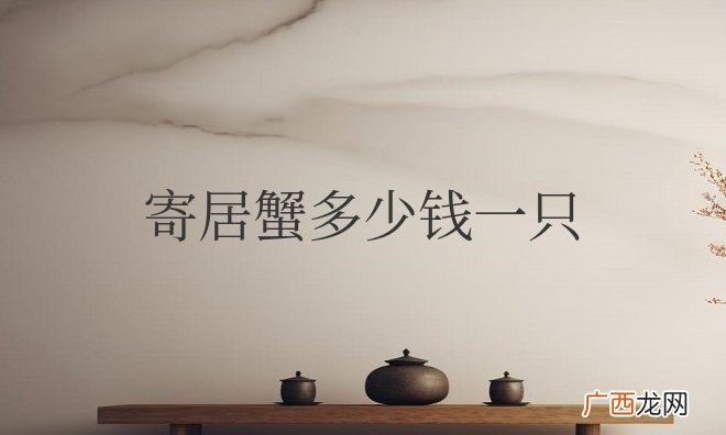 寄居蟹多少钱一只