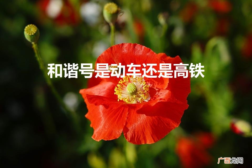 高铁叫什么号 和谐号是动车还是高铁